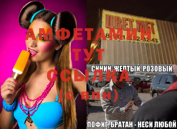 ПСИЛОЦИБИНОВЫЕ ГРИБЫ Верея
