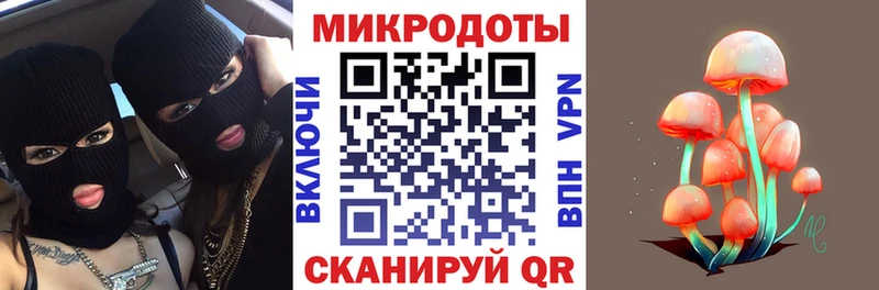 Галлюциногенные грибы мухоморы  Каргополь 