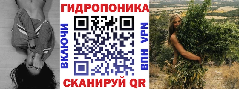 кракен ССЫЛКА  Каргополь  Канабис план  продажа наркотиков 